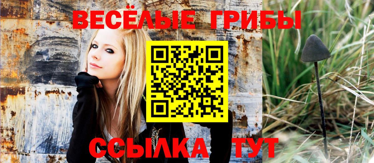 где можно купить   Вход с VPN  Галлюциногенные грибы мицелий  Ликино-Дулёво  Галлюциногенные грибы мухоморы 